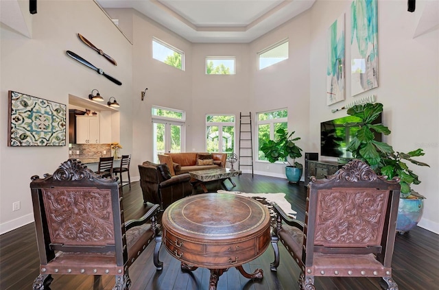 living room with dark hardwood / wood-style floors, a high ceiling, and a raised ceiling