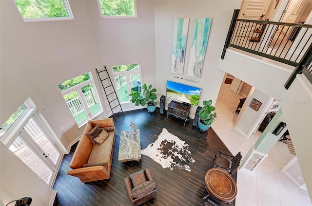 living room featuring a towering ceiling, hardwood / wood-style flooring, and a healthy amount of sunlight