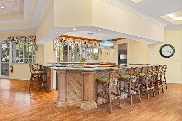 bar with light hardwood / wood-style floors, ornamental molding, and a raised ceiling