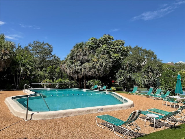 view of swimming pool