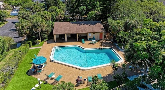 view of swimming pool featuring a yard and a patio