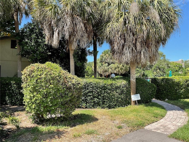 view of property's community