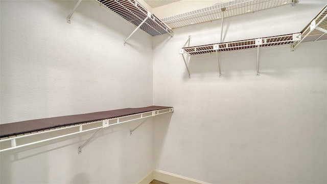 view of spacious closet