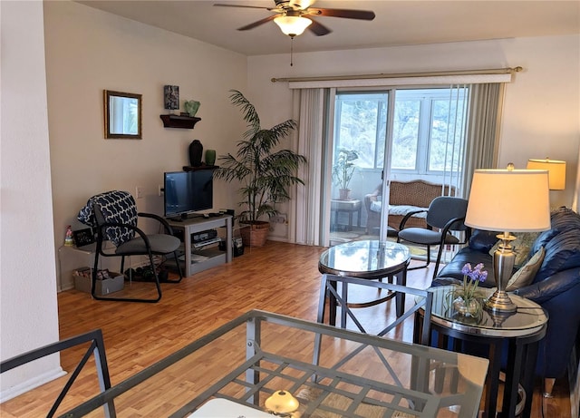 living room with ceiling fan and wood-type flooring