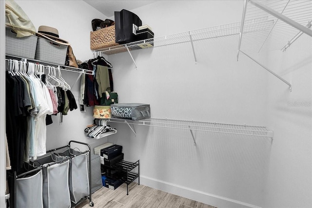 spacious closet featuring wood finished floors
