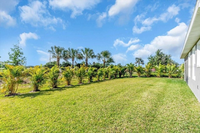 view of yard
