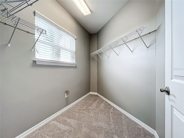 spacious closet with carpet floors