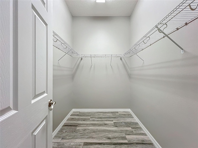 walk in closet with hardwood / wood-style flooring