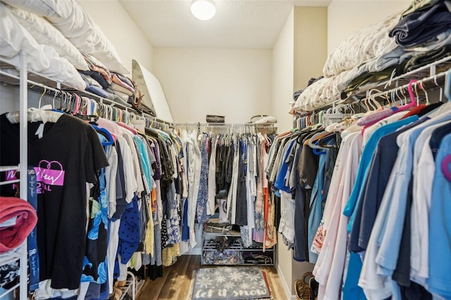 spacious closet featuring hardwood / wood-style flooring