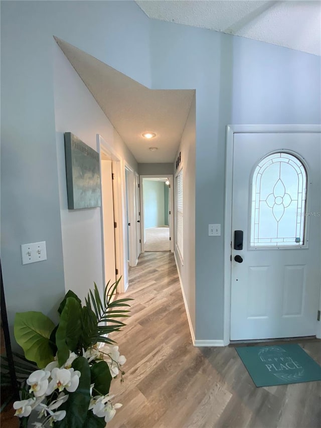 entryway with hardwood / wood-style floors