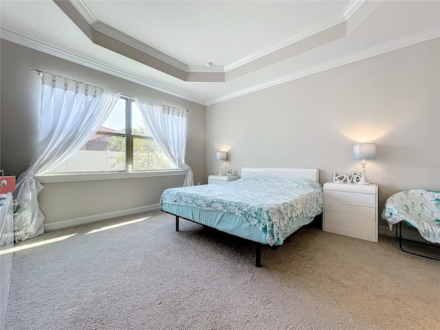 carpeted bedroom with a raised ceiling and crown molding