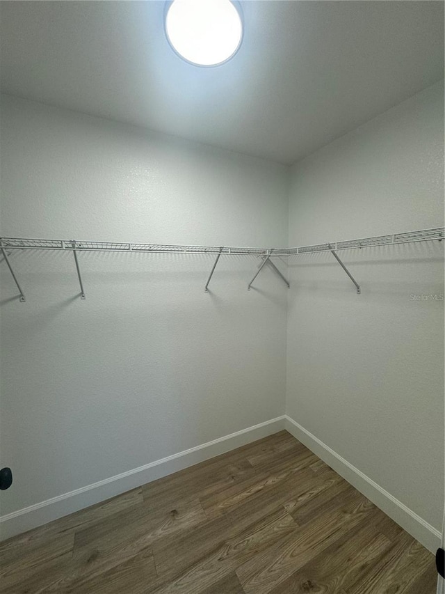 spacious closet with dark hardwood / wood-style floors