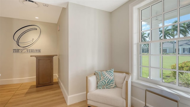 living area featuring light hardwood / wood-style floors