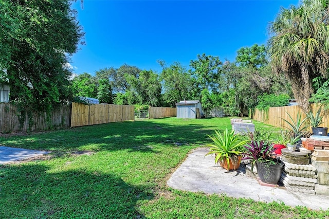 view of yard featuring a shed