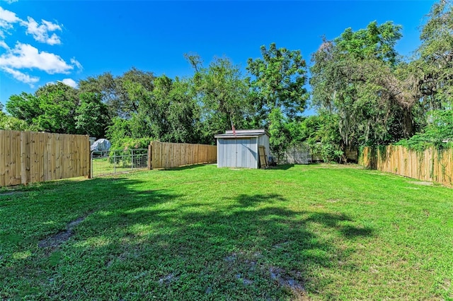 view of yard featuring a storage shed