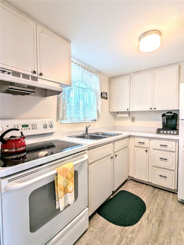 kitchen featuring sink, light hardwood / wood-style floors, and white appliances