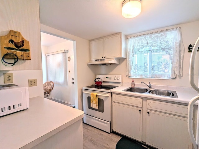 kitchen featuring light hardwood / wood-style floors, sink, and white electric range