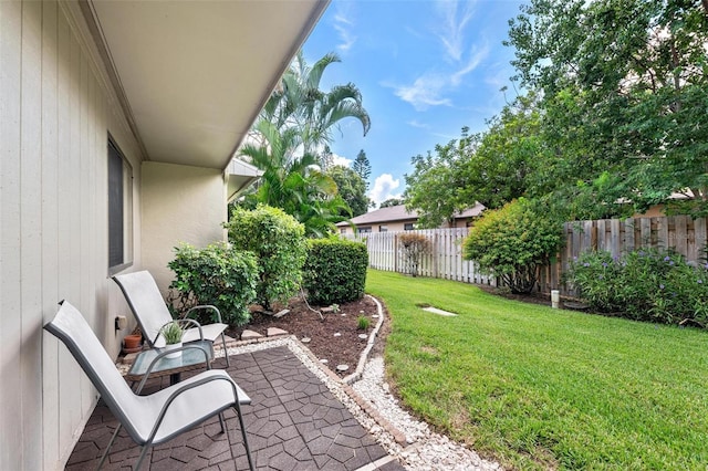 view of yard featuring a patio