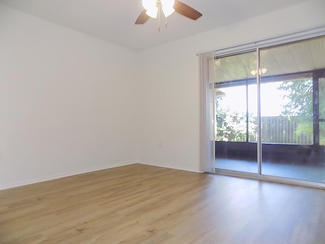 unfurnished room featuring ceiling fan and light hardwood / wood-style flooring