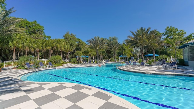 view of swimming pool featuring a patio