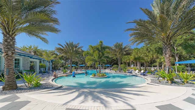 view of pool