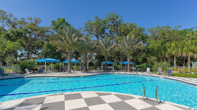 view of pool featuring a patio