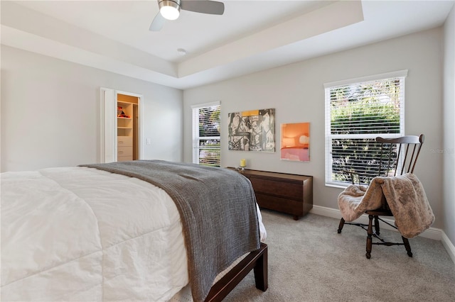 bedroom featuring a tray ceiling, multiple windows, a spacious closet, and ceiling fan