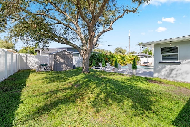 view of yard with a patio and a shed