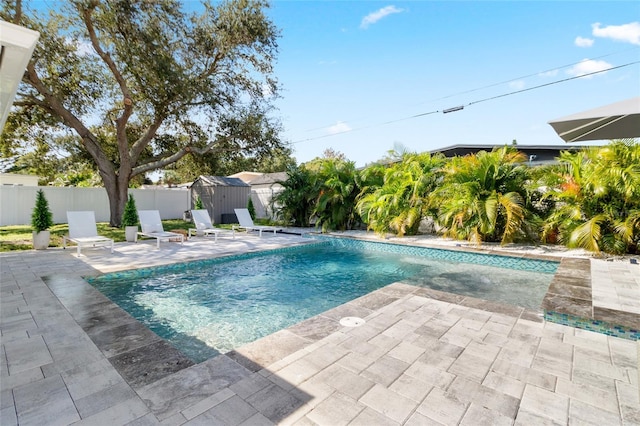 view of swimming pool featuring a patio and a storage shed