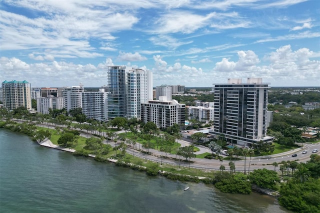 bird's eye view with a water view