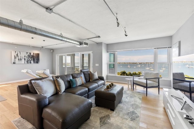 living room featuring light hardwood / wood-style floors, plenty of natural light, and a water view