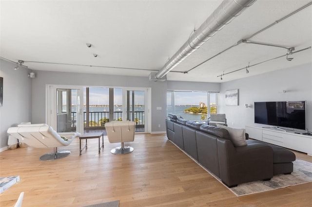 living room featuring a healthy amount of sunlight and light wood-type flooring