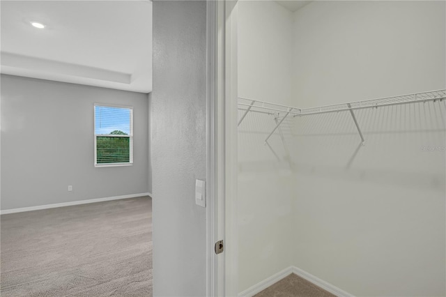 walk in closet featuring carpet floors