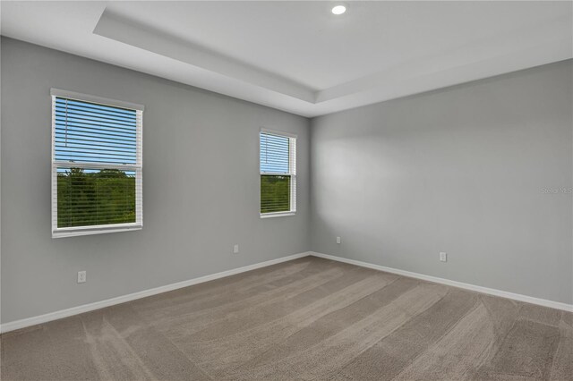 empty room with light carpet and a raised ceiling