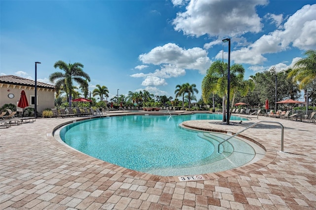 view of swimming pool with a patio