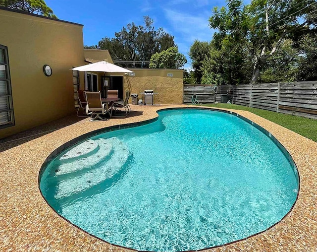 view of pool with a patio and area for grilling