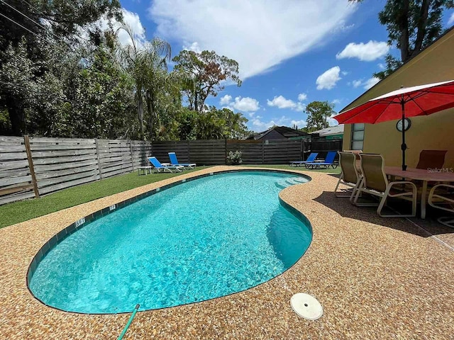 view of pool with a patio area