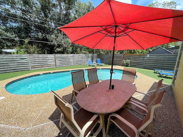 view of pool featuring a patio area