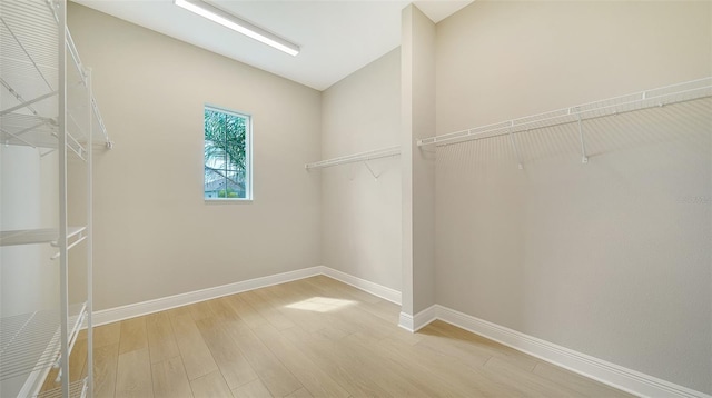 spacious closet featuring hardwood / wood-style floors