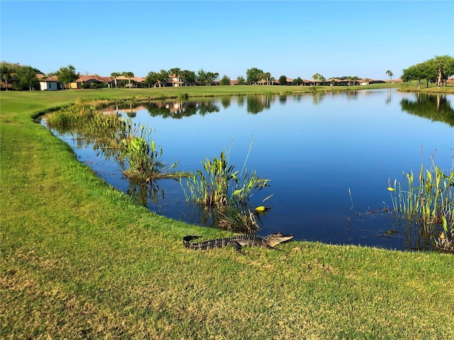 property view of water