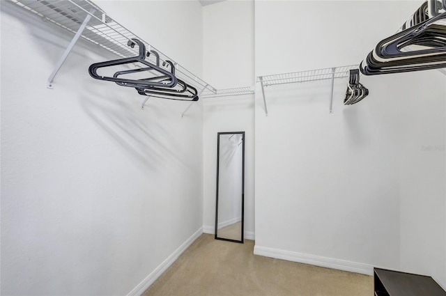 walk in closet with light carpet