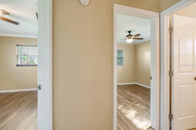 hall with crown molding and light hardwood / wood-style flooring