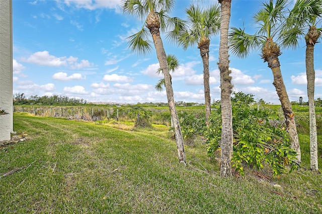 1026 Bird Bay Way Unit 276, Venice, FL 34285 - view of yard