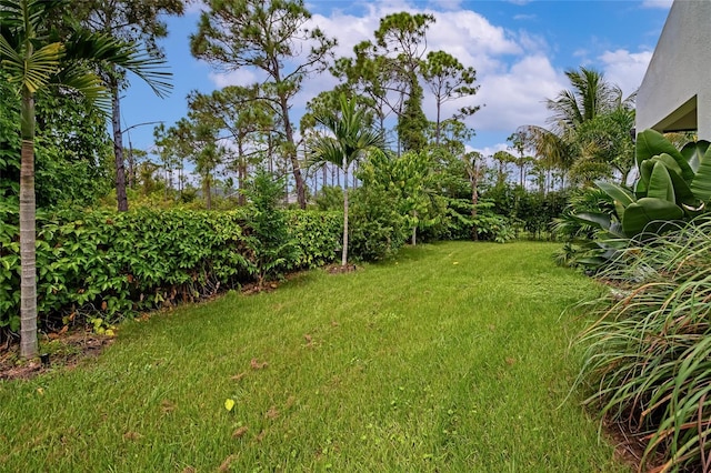 8175 Dittmar St, Port Charlotte, FL 33981 - view of yard