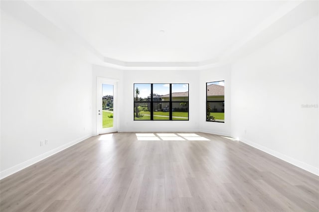 empty room with light hardwood / wood-style flooring and a raised ceiling