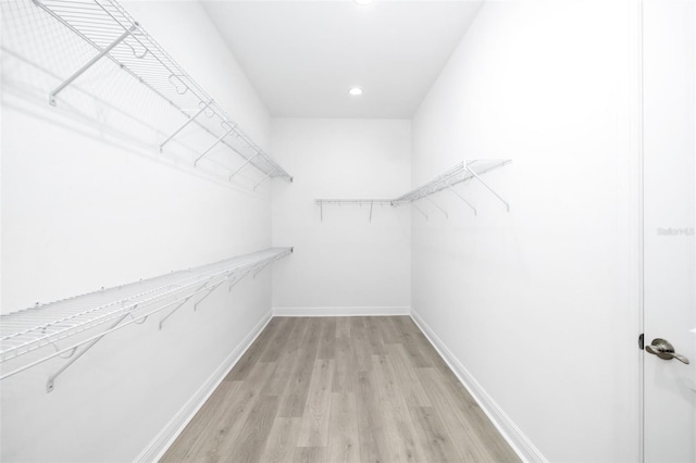 spacious closet featuring light wood-type flooring