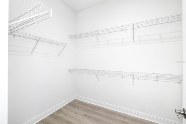 walk in closet featuring hardwood / wood-style flooring