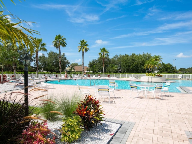 view of pool featuring a patio