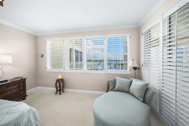 carpeted bedroom with multiple windows and ornamental molding