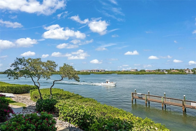 dock area with a water view